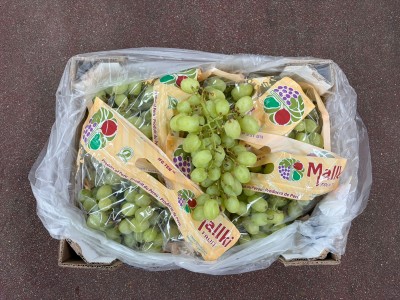 Foto Uva Bianca Sweet Globe Calibro J Origine Peru Marchio Malki 3